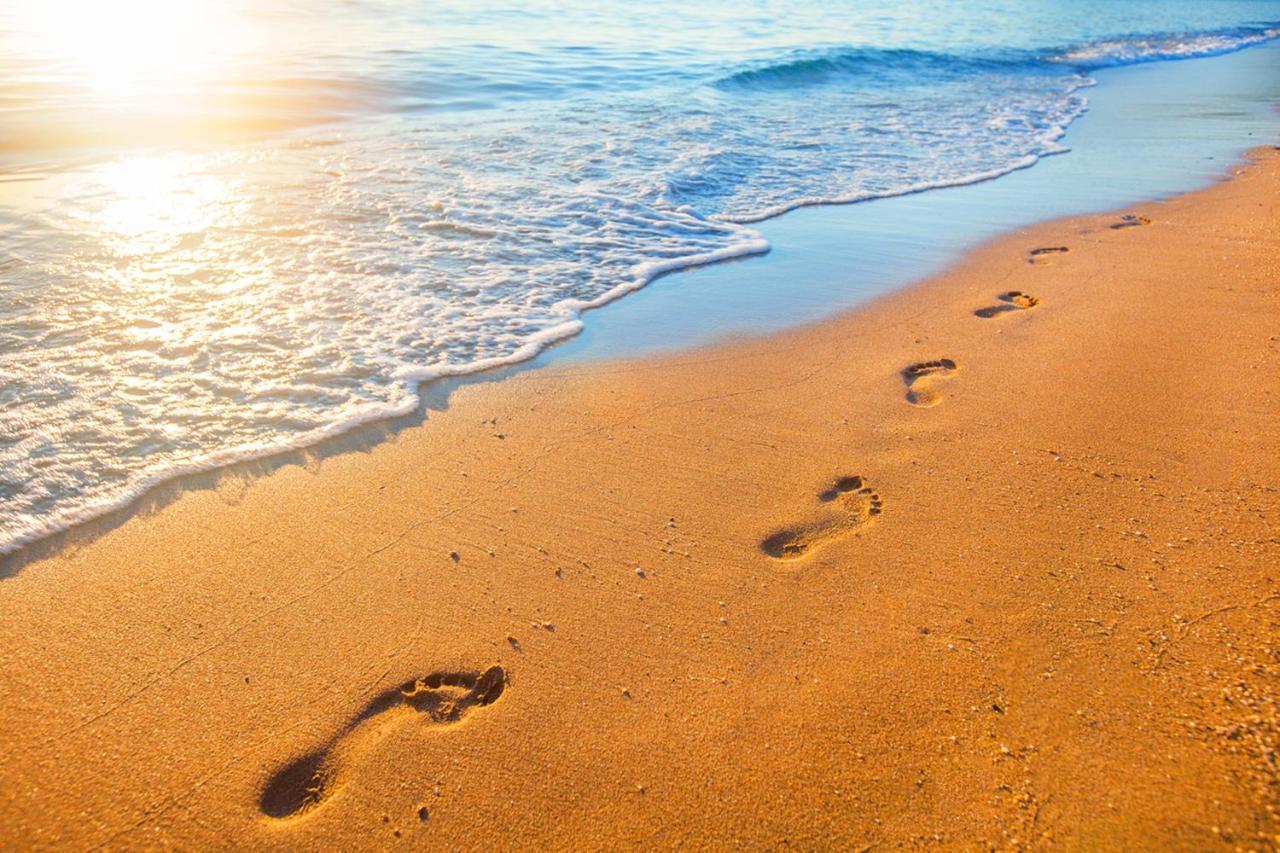 Miramar Beach Home Walk To Beach Trails Restaurants Family Activities Half Moon Bay Exterior foto